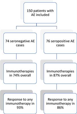 Therapy response in seronegative versus seropositive autoimmune encephalitis